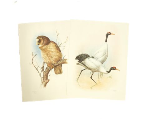 LANSDOWNE, J. FENWICKRare Birds of China. London: Kennedy Fine Arts, (1992). Limited edition, specially numbered copy III of 
