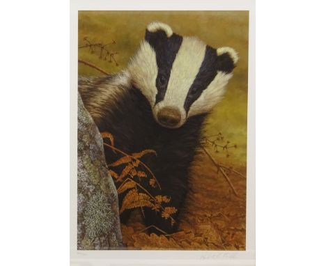 Badger, ltd.ed colour print No.304/850 signed and numbered by Robert E Fuller (British 1972-), Barn Owl with Mouse, print sig