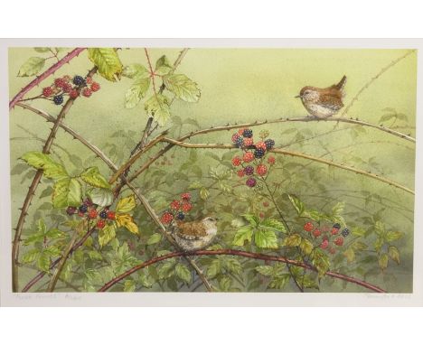 'First Fruits', limited edition colour print No.6/100 signed in pencil by Jennifer A Bell (British contemporary) 25.5cm x 40.