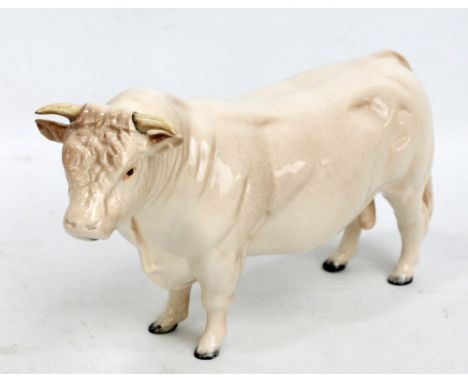 A Beswick 'Charolais Bull' figure, length 32.5cm. CONDITION REPORT: Some light wear around hoof rims otherwise ok.