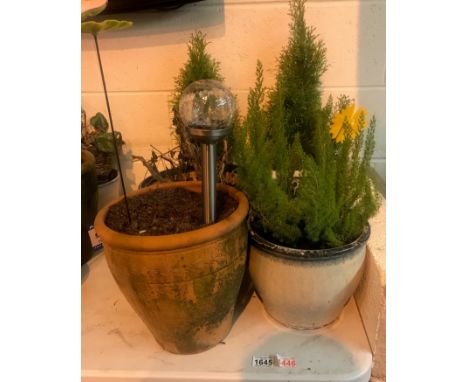 Six garden ceramic pots, some with plants. Not available for in-house P&amp;P, contact Paul O'Hea at Mailboxes on 01925 65913