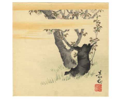 Artists: Zeshin Shibata (1807-1891)Title: Cherry BlossomPublisher: Not SealedDate: c.1880sSize: 23.1 x 22.9 cmCondition Repor
