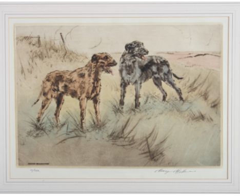 Henry Wilkinson: a pair of pencil signed limited edition coloured etchings, Irish wolfhounds, 11" x 14", in gilt frames