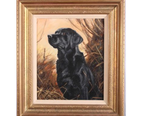 John Trickett (British born 1952): oil on board, portrait of a black Labrador, 12" x 9", signed
