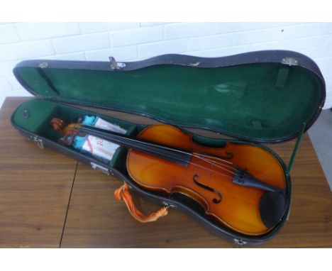 Viola with a fitted case