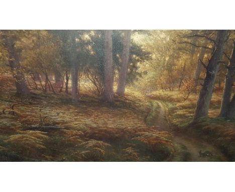 A 19th Century Colour Print of a Forest Path, mounted in a gilt frame.