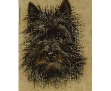 Marjorie Cox, charcoal/pastel, portrait of a black Terrier, Callan of Rossarden, signed, titled and dated 1956, 11" x 8.5", f