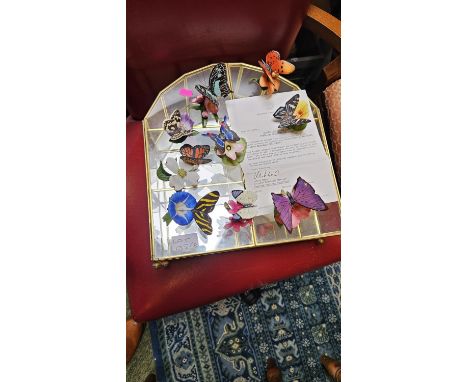 Collection of Franklin Mint Porcelain Butterflies of the World and a collectors cabinet 