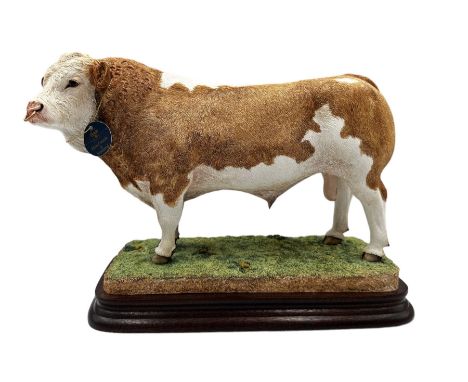 Border Fine Arts limited edition model 'Simmental Bull' no. B0996 by Antony Halls, 188/500, with certificate and box