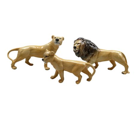 Beswick model of a Lion No2089, Lioness No2097 and Lion Cub No2098 (3)
