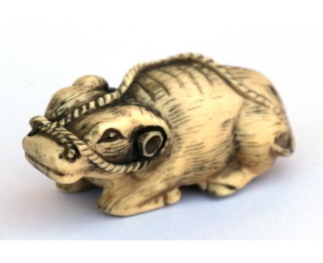 A 19th century Japanese ivory netsuke in the form of a recumbent oxen,  5cm (2ins) long.