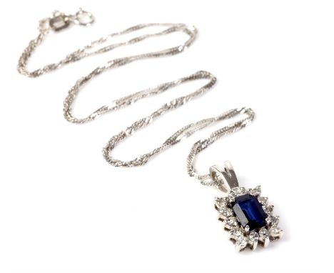 Sapphire and diamond pendant, emerald cut sapphire with a border of fourteen round brilliant cut diamonds, on a fancy link ch