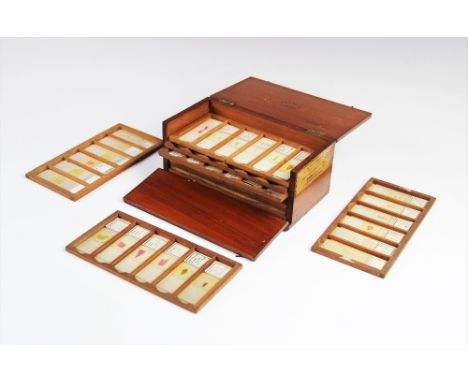 A collection of sixty six microscope slides, medical subjects, to include examples hand labelled 'Tongue', 'Epiglottis', 'Liv