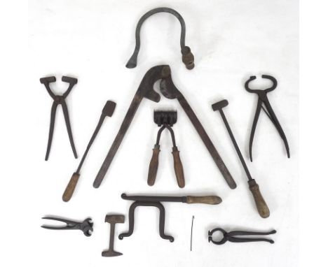 A group of 19th century horse and veterinary farm tools, including a castration tool by Arnold and Son and a hand forged hors