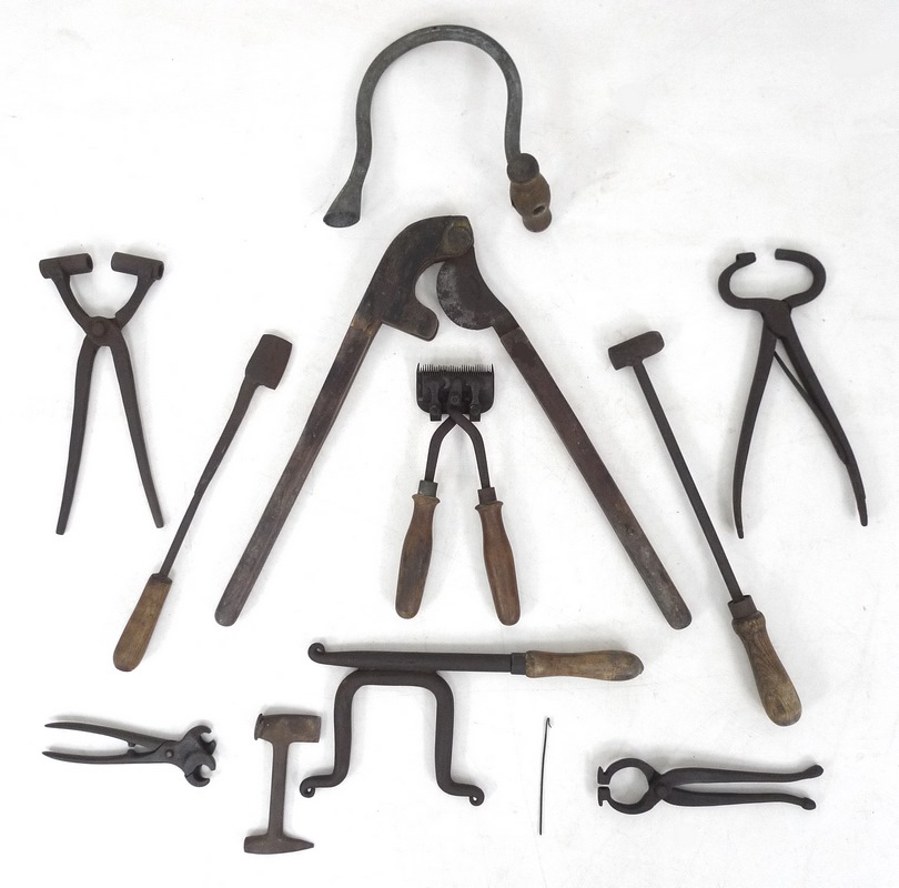 A group of 19th century horse and veterinary farm tools, including a ...