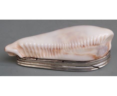 18th century Scottish silver mounted white cowrie shell snuff box with engraved decoration and hinged lid opening to reveal g