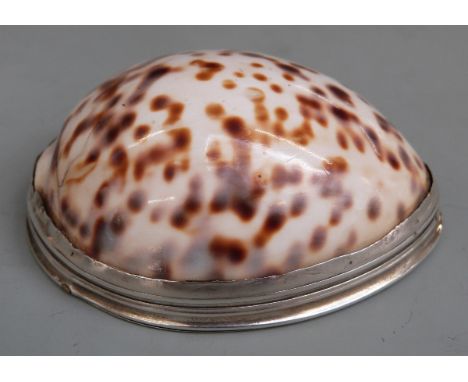 Georgian silver mounted Scottish cowrie shell snuff box with engraved hinged lid, length 66mm