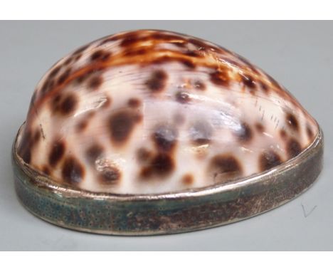 18th century old Sheffield plate mounted cowrie shell snuff box, with engraved decoration and part hinged lid, length 70mm
