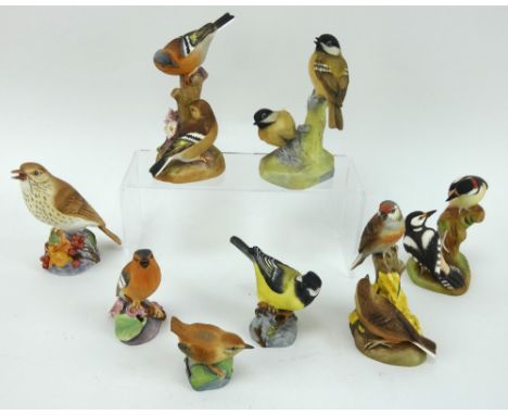 Eight Royal Worcester bone china figures of birds to include wren, tits, woodpeckers, thrush, chaffinches and linnets. Talles