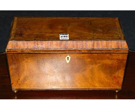 A Regency mahogany inlaid tea caddy, the hinged top enclosing lidded compartments, lacking mixing glass, with gilt lion mask 