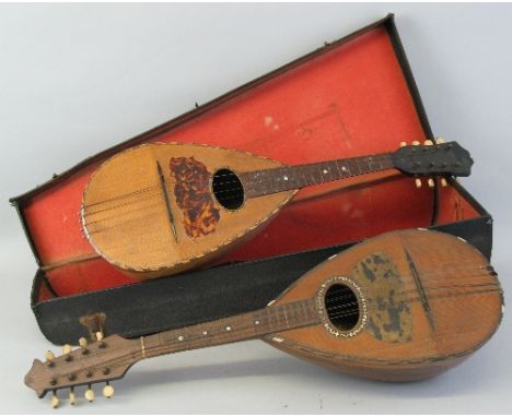 A late 19th Century Italian lute back mandolin, with banded walnut and maple back and sprucewood top, no makers label, 60.5cm