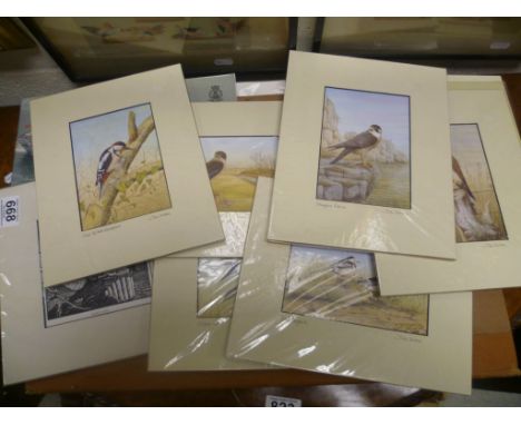 Nine Mounted Signed John Dolton Prints of Birds plus Print of Owl and Commerative HMS Ark Royal Brochure and Photos