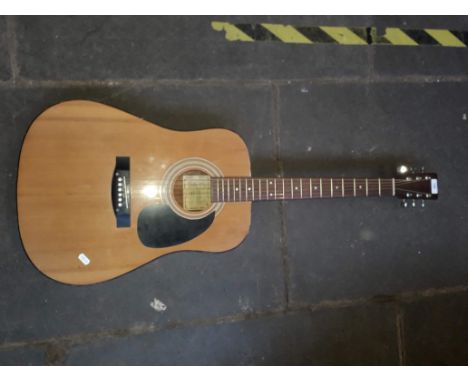 Encore Guitar, model No.W250 
