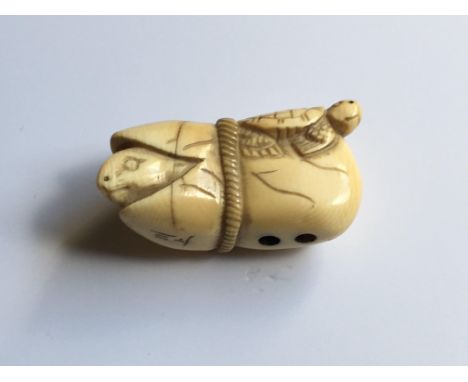 A Japanese carved Ivory Netsuke of the Meiji period 19th Century, carved in the form of a turtle and sea urchin emerging from