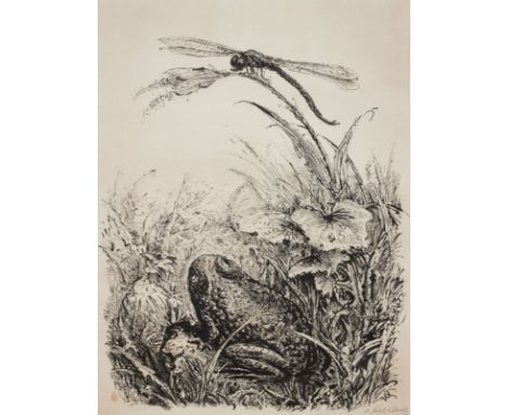 A. Paul Weber1893 Arnstadt - 1980 Schretstaken - Libelle und Kröte - Lithografie/Papier. 43,5 x 33,5 cm, 62,5 x 48,5 cm. Sign