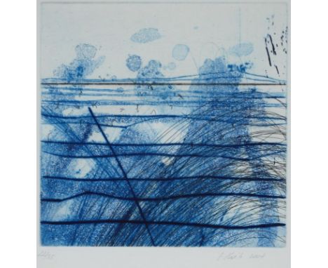 Johannes Haider1954 Eisenstadt - 2014 Oslip - Ohne Titel - Farbige Aquatintaradierung/Papier. 22/35. 19,5 x 19,8 cm, 23 x 23,