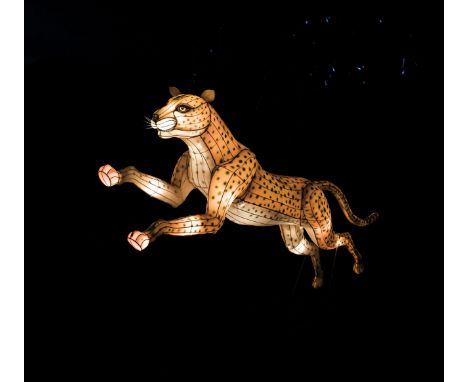 A hand crafted Chinese silk lantern in the form of a Cheetah.
The lantern stands 160 m tall with a length of 290 cm.
Construc