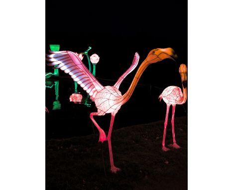 A hand crafted Chinese silk lantern in the form of a Flamingo.
The lantern stands 150 cm tall with a length of 115 cm.
Constr