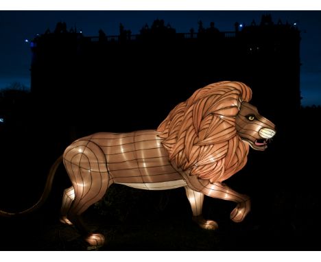 A hand crafted Chinese silk lantern in the form of a Lion.
The lantern stands 140 cm tall with a length of 290 cm.
Constructe