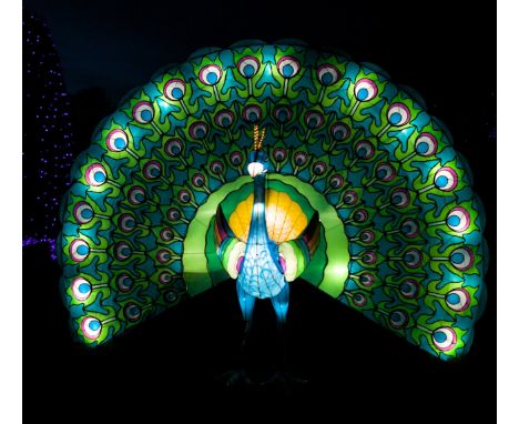 A hand crafted Chinese silk lantern in the form of a Peacock.
The lantern stands 230 cm tall with a wingspan of 305 cm.
Const