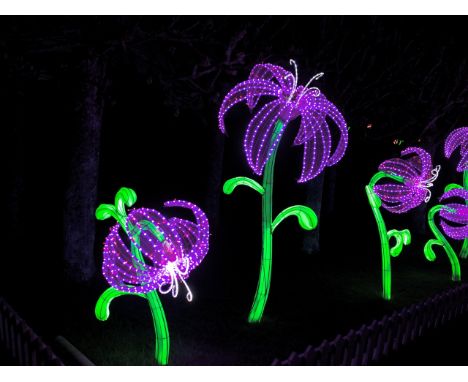 A pair of hand crafted silk lanterns in the form of flowers.
The larger flowers stands 230 cm tall, and the smaller flower 12