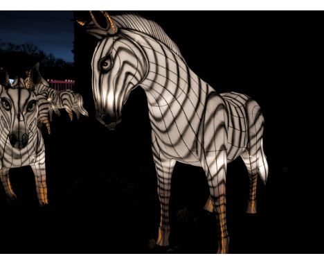 A hand crafted&nbsp; Chinese silk lantern in the form of a Zebra.
The lantern stands 200 cm tall with a length of 210 cm.
Con