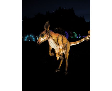 A hand crafted Chinese silk lantern in the form of a Kangaroo.
The lantern stands 155 cm tall with a length of 250 cm.
Constr