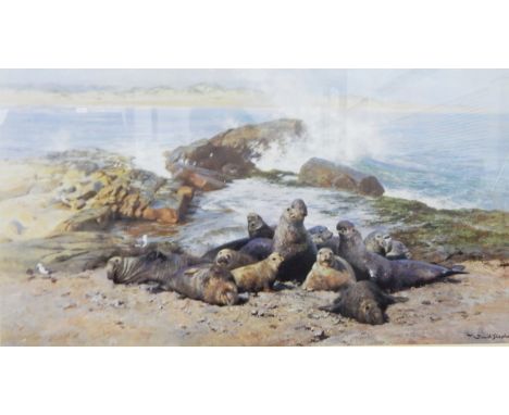 After David ShepherdLimited edition colour print"Elephant Seals", signed in pencil, 316/1500, with blindstamp, 36cm x 60cm 