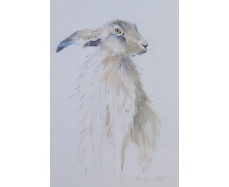 Heather Fitz, Contemporary animal Artist, print of a Hare on watercolour paper, signed, frame size 50 x 41cm, F &amp; G