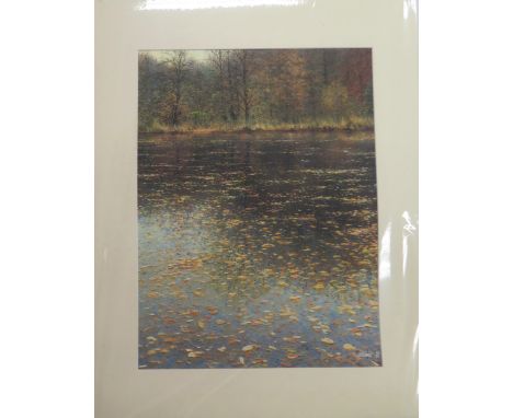 Andrew Coates b.1955 British/New Zealand, 'Fallen Leaves on Silent Waters', Limited Edition Giclée Print 64/99, signed lower 