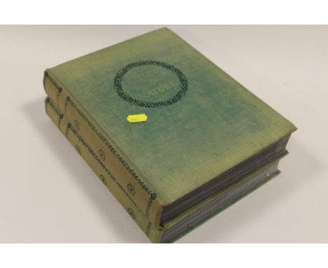 TWO VINTAGE OUTLINE OF NATURE BOOKS 