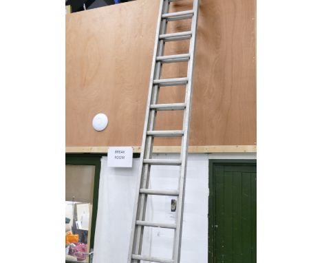 Set of extending double 15 step alloy ladders