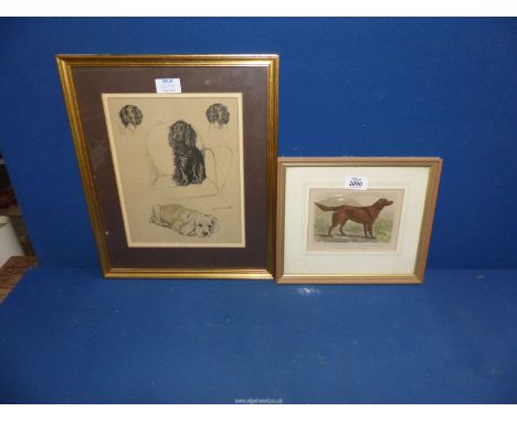 A framed and mounted coloured etching of Mr J Fletcher's Irish setter "Grouse" along with a framed and mounted charcoal study