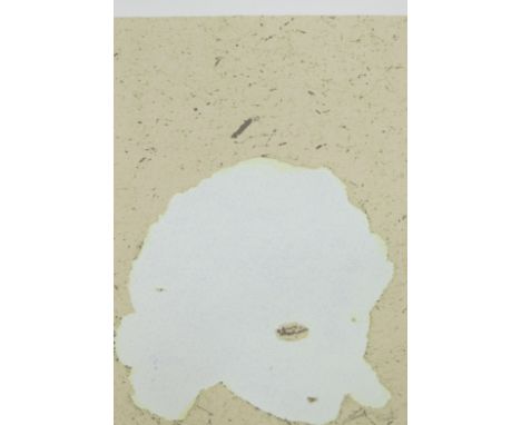 Luc TUYMANS (1958), color silkscreen Untitled, numbered 45/100 and signedLuc TUYMANS (1958), kleurenzeefdruk Zonder titel, ge