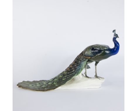 Theodor KÄRNER (1884-1966), elegant porcelain figure of a peacock with spread tail, richly detailed and finished in glossy co