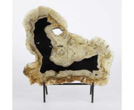 Petrified Palm wood on a black metal stand, IndonesiaVersteend Palmhout op een zwarte metalen standaard, Indonesië32 x 36 cm
