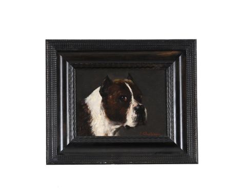JULES CHARDIGNY (FRENCH 1842-1892) STUDY OF A CANE CORSO  Oil on canvas  Signed (lower right) 22 x 27cm (8½ x 10½ in.)Please 