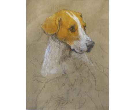 ATTRIBUTED TO THOMAS BLINKS (1860-1912) A PORTRAIT OF A GUN DOG, PASTEL. PROVENANCE VERSO.   23 x 20cms.