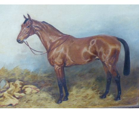 IVESTER LLOYD (1871-1942) A PORTRAIT OF A HORSE, A SIGNED OIL ON CANVAS.   41x51cms