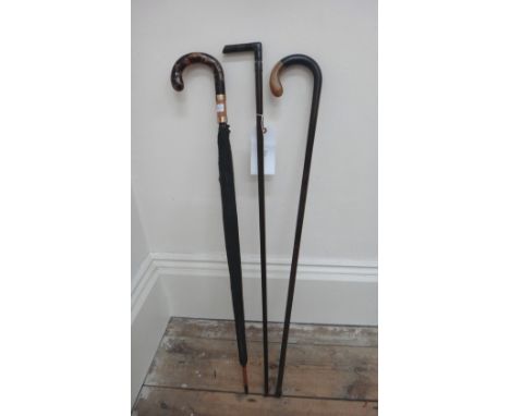 A late 19th century French silver and tortoiseshell handled coromandel walking cane, inscribed 'CB Ambassade Britannique 1897